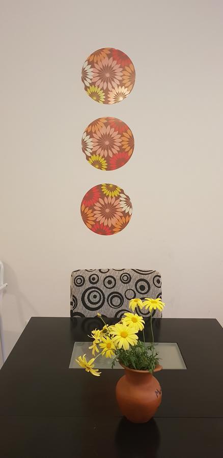 Apartamento Leguizamon Apartment ซัลตา ภายนอก รูปภาพ